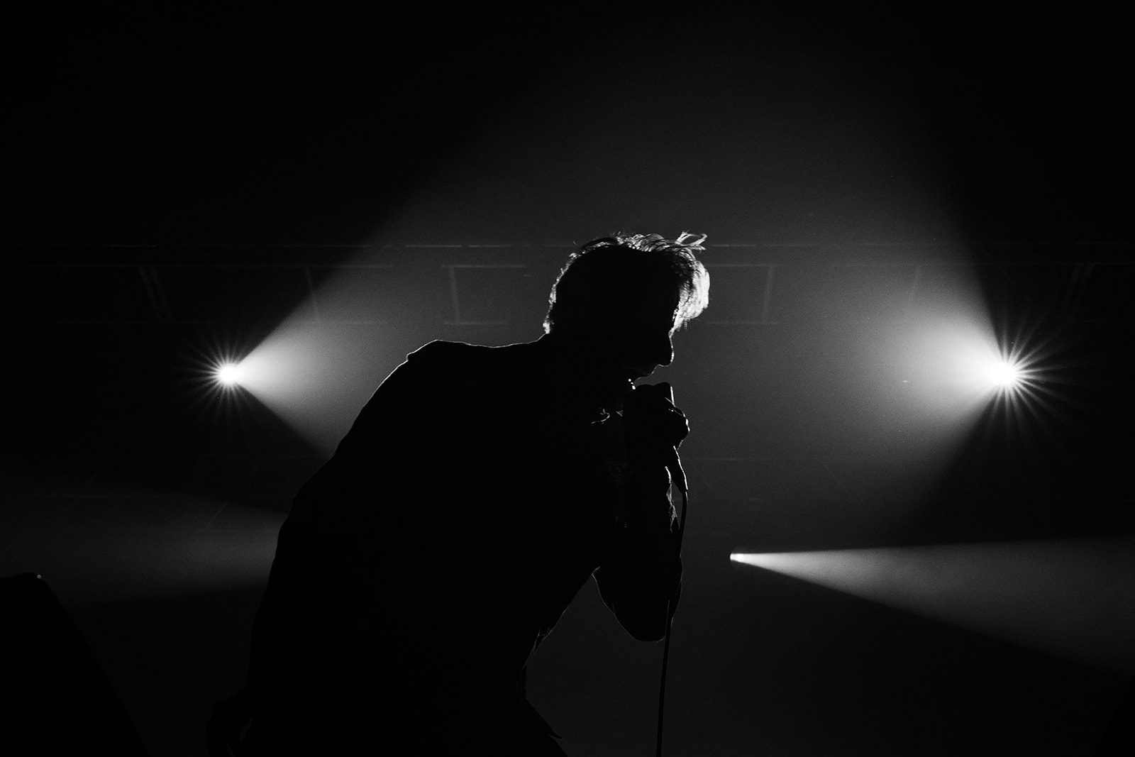 Washington Dead Cats – énergie brute